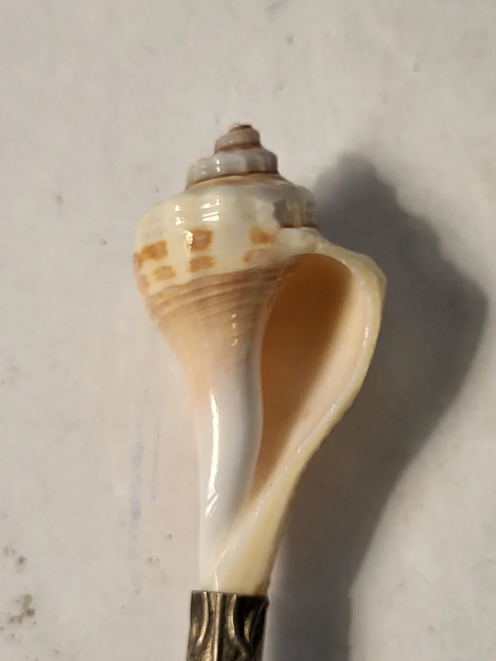Pair Of Vintage Mother of Pearl Caviar Spoons - Iridescent White